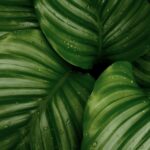 josefin-NeH6-YKTwUI-unsplash