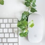 larisa-birta-a3pA4QNHVbk-unsplash